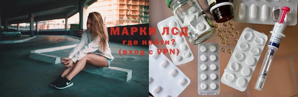 ПСИЛОЦИБИНОВЫЕ ГРИБЫ Верея