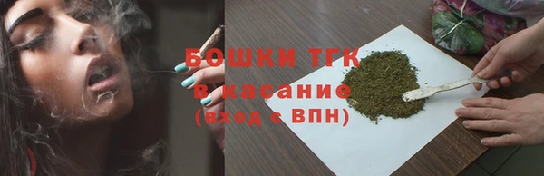 ПСИЛОЦИБИНОВЫЕ ГРИБЫ Верея