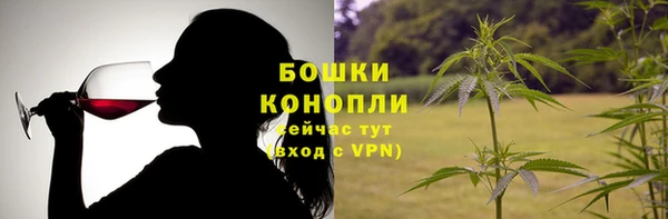 ПСИЛОЦИБИНОВЫЕ ГРИБЫ Верея