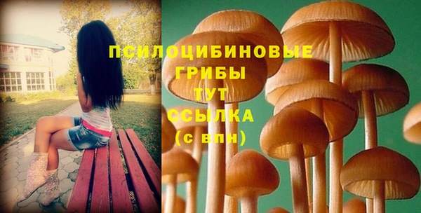 ПСИЛОЦИБИНОВЫЕ ГРИБЫ Верея