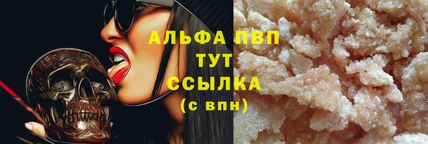 ПСИЛОЦИБИНОВЫЕ ГРИБЫ Верея