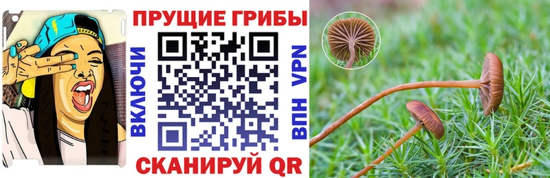 Галлюциногенные грибы мицелий  ссылка на мегу ССЫЛКА  Семёнов 